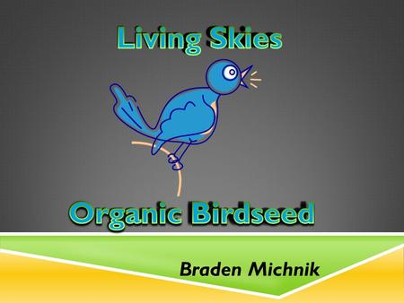 Braden Michnik. PRODUCT  Certified organic birdseed  Blended for canaries, budgies, and finches  Ingredients: mixture of organic canary seed, millet,