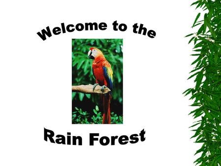 Objectives 1.Students will learn about what defines a rainforest. 2.Students will learn about the environmental impact of eliminating rainforests. 3.Students.