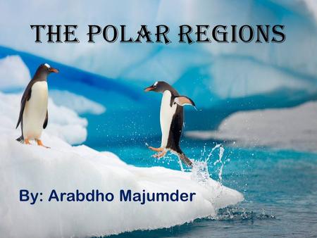The Polar Regions By: Arabdho Majumder