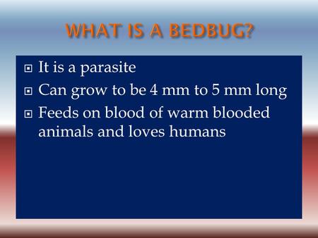  It is a parasite  Can grow to be 4 mm to 5 mm long  Feeds on blood of warm blooded animals and loves humans.