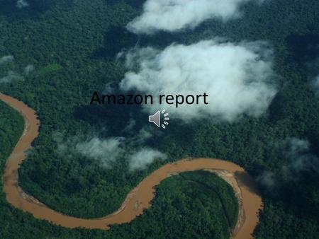 Amazon report.