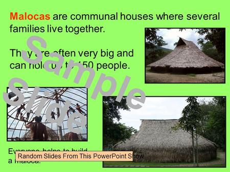 Malocas are communal houses where several families live together. They are often very big and can hold up to 150 people. Everyone helps to build a maloca.