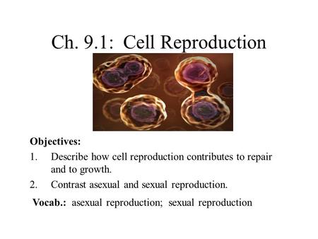 Ch. 9.1: Cell Reproduction Objectives: 1.Describe how cell reproduction contributes to repair and to growth. 2.Contrast asexual and sexual reproduction.
