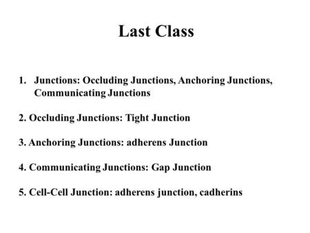 Last Class 1.Junctions: Occluding Junctions, Anchoring Junctions, Communicating Junctions 2. Occluding Junctions: Tight Junction 3. Anchoring Junctions: