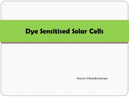 Dye Sensitised Solar Cells