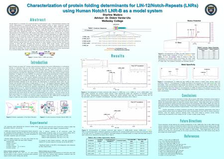 Characterization of protein folding determinants for LIN-12/Notch-Repeats (LNRs) using Human Notch1 LNR-B as a model system Sharline Madera Advisor: Dr.