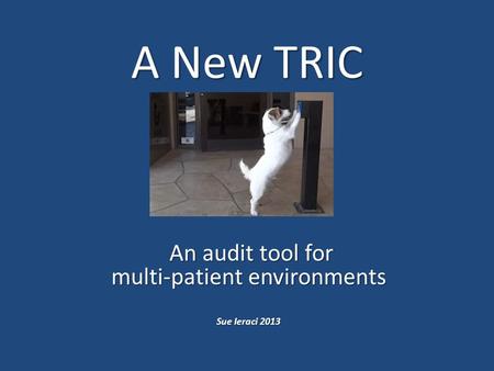 A New TRIC An audit tool for multi-patient environments An audit tool for multi-patient environments Sue Ieraci 2013.