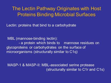 Lectin: proteins that bind to a carbohydrate