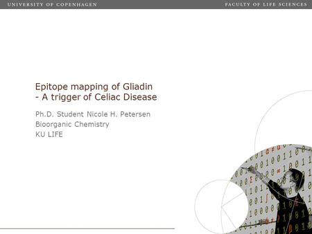 Epitope mapping of Gliadin - A trigger of Celiac Disease Ph.D. Student Nicole H. Petersen Bioorganic Chemistry KU LIFE.