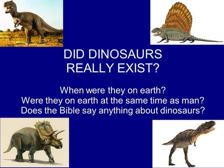 DID DINOSAURS REALLY EXIST? When were they on earth? Were they on earth at the same time as man? Does the Bible say anything about dinosaurs?