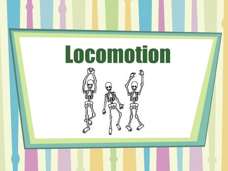 Locomotion. Locomotion: the ability to move from one place to another Motile: capable of locomotion Sessile: incapable of locomotion; stationary.