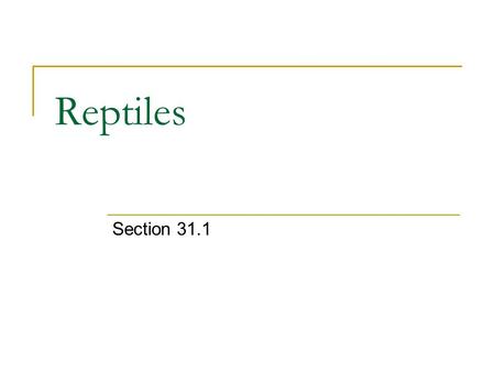 Reptiles Section 31.1. Animal Classification Animals Invertebrates Vertebrates Sponges Cnidarians Worms Mollusks Arthropods Echinoderms Ectotherms (cold-blooded)