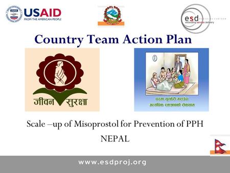 Country Team Action Plan Scale –up of Misoprostol for Prevention of PPH NEPAL.