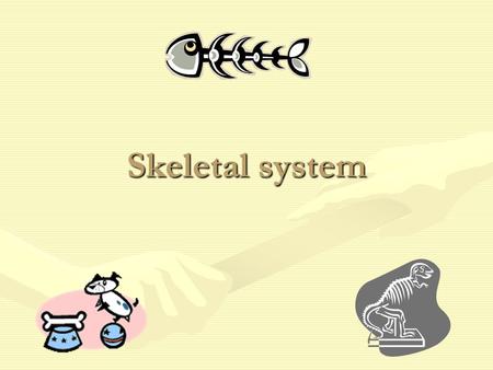 Skeletal system. Benefits of skeletons Skeletons provide for the bodySkeletons provide support for the body Muscles and bones work together for of the.