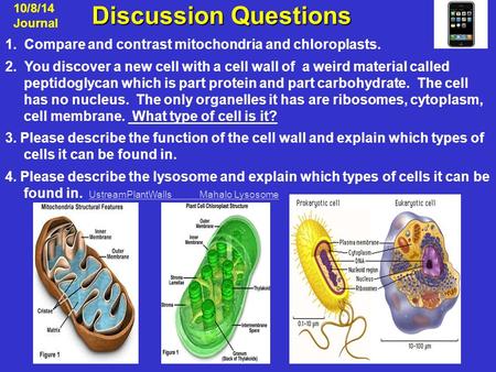 Discussion Questions Discussion Questions 10/8/14 Journal 1. Compare and contrast mitochondria and chloroplasts. 2. You discover a new cell with a cell.