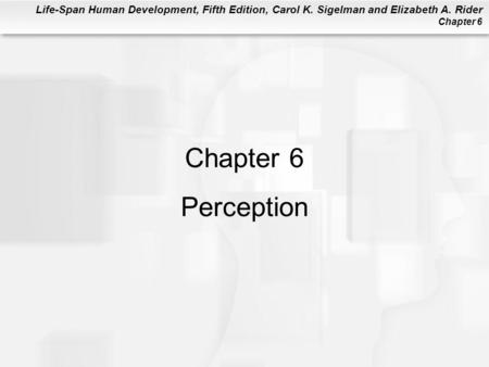 Chapter 6 Perception.