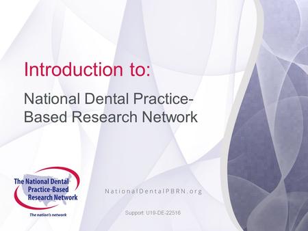 Introduction to: National Dental Practice- Based Research Network Support: U19-DE-22516.