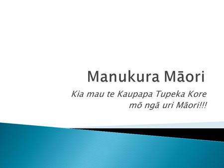 Kia mau te Kaupapa Tupeka Kore mō ngā uri Māori!!!