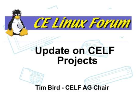 CELF Contract Work Update on CELF Projects Tim Bird - CELF AG Chair.