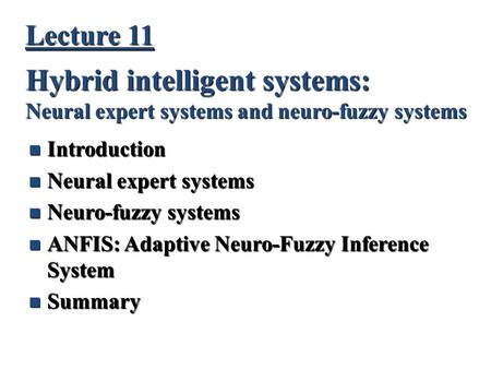 Hybrid intelligent systems: