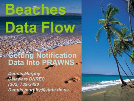 Beaches Data Flow Getting Notification Data Into PRAWNS Dennis Murphy Delaware DNREC (302) 739-3490