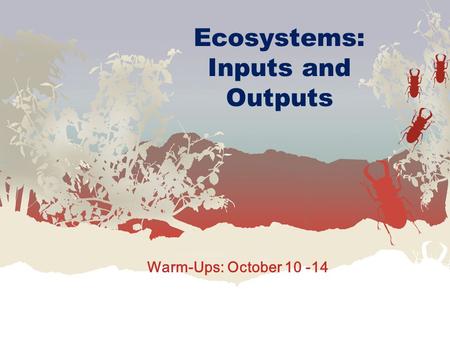 Ecosystems: Inputs and Outputs Warm-Ups: October 10 -14.