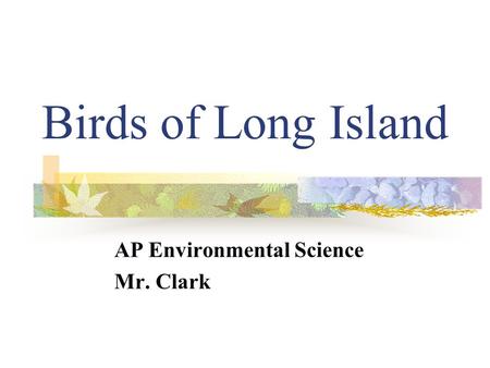 Birds of Long Island AP Environmental Science Mr. Clark.