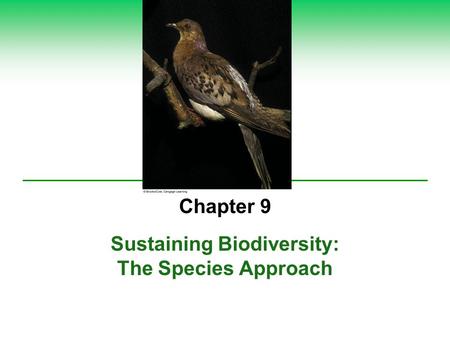 Sustaining Biodiversity: The Species Approach Chapter 9.