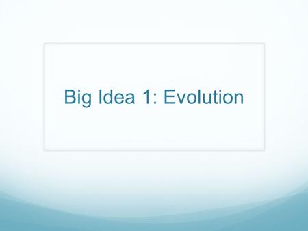 Big Idea 1: Evolution.