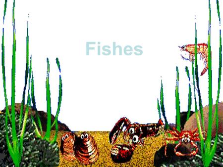 Fishes.