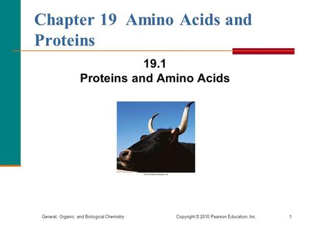 General, Organic, and Biological Chemistry Copyright © 2010 Pearson Education, Inc.1 Chapter 19 Amino Acids and Proteins 19.1 Proteins and Amino Acids.