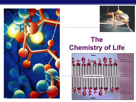 AP Biology 2009-2010 The Chemistry of Life AP Biology Why are we studying chemistry? Chemistry is the foundation of Biology.