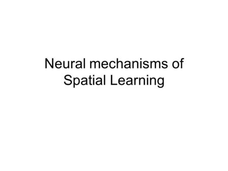 Neural mechanisms of Spatial Learning. Spatial Learning Materials covered in previous lectures Historical development –Tolman and cognitive maps the classic.