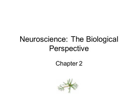 Neuroscience: The Biological Perspective Chapter 2.