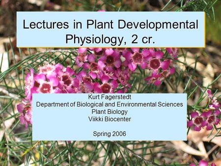 Lectures in Plant Developmental Physiology, 2 cr. Kurt Fagerstedt Department of Biological and Environmental Sciences Plant Biology Viikki Biocenter Spring.