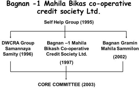 Self Help Group (1995) Bagnan -1 Mahila Bikas co-operative credit society Ltd. DWCRA Group Samannaya Samity (1996) Bagnan –1 Mahila Bikash Co-operative.