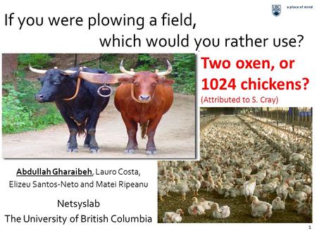 11 If you were plowing a field, which would you rather use? Two oxen, or 1024 chickens? (Attributed to S. Cray) Abdullah Gharaibeh, Lauro Costa, Elizeu.