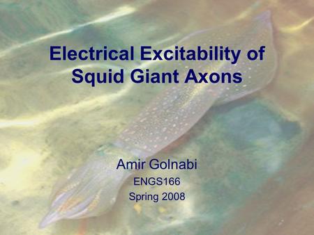 Electrical Excitability of Squid Giant Axons Amir Golnabi ENGS166 Spring 2008.
