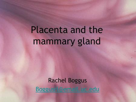 Placenta and the mammary gland Rachel Boggus