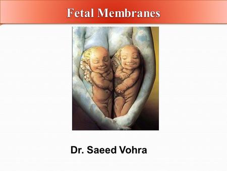 Dr. Saeed Vohra. By the end of the lecture the student should be able to: List the components of the fetal membranes. Describe the stages of development.