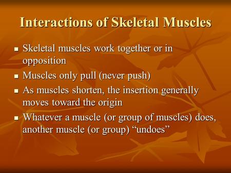 Interactions of Skeletal Muscles Skeletal muscles work together or in opposition Skeletal muscles work together or in opposition Muscles only pull (never.