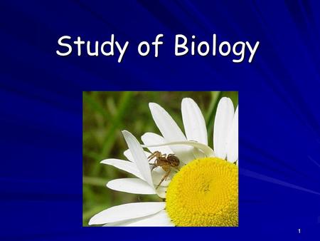 1 Study of Biology. 2 What is Biology? Biology is the study of all living things Living things are called organisms Living things are called organisms.
