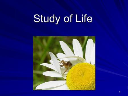 1 Study of Life. 2 What is Biology? Biology is the study of all living things Living things are called organisms Living things are called organisms Organisms.
