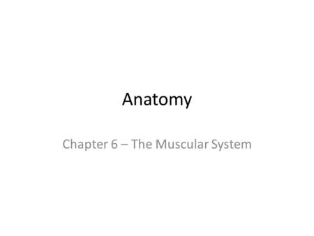 Chapter 6 – The Muscular System