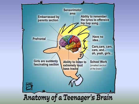 Objectives To challenge some of the myths we hold about the teenage brain To learn about how the teenage brain processes information To understand why.