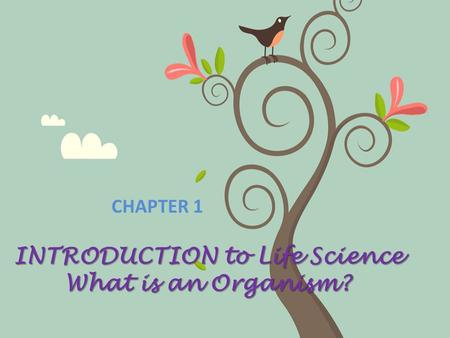 INTRODUCTION to Life Science What is an Organism?