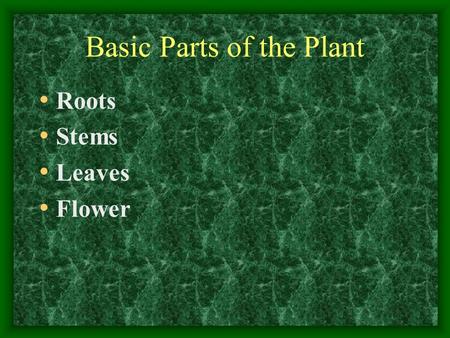 Basic Parts of the Plant