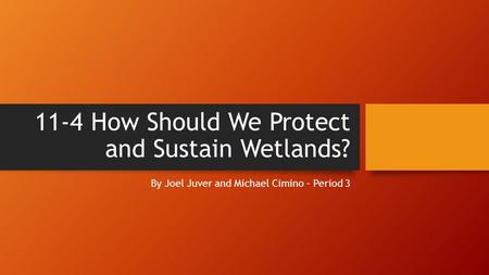 11-4 How Should We Protect and Sustain Wetlands?