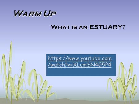Warm Up What is an ESTUARY? https://www.youtube.com /watch?v=XLumSN4G5P4.
