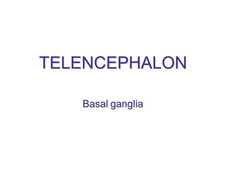 TELENCEPHALON Basal ganglia. Telencephalon = Cerebrum Middle part (= telencephalon medium) –Rostral part of IIIrd ventricle –Prior to foramen interventriculare.